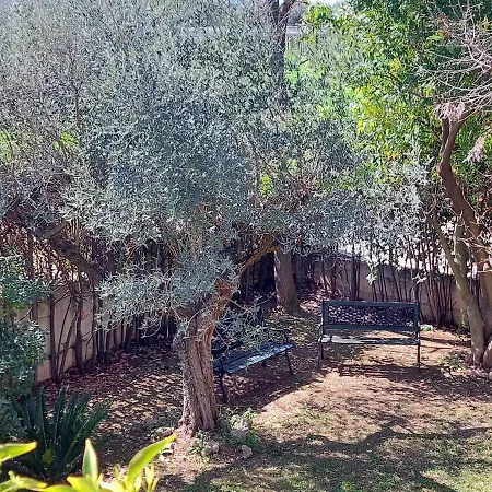 Mia Lanciano
