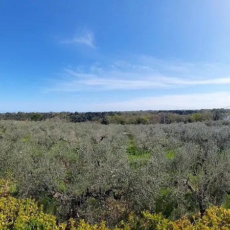 Mia Bed & Breakfast Lanciano