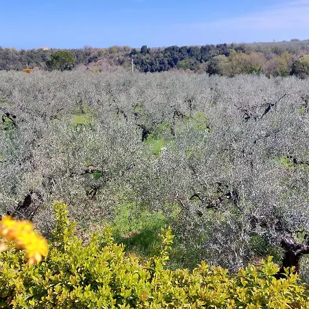 Mia Bed & Breakfast 3*