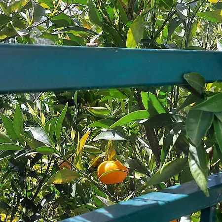 Mia Bed & Breakfast 3*