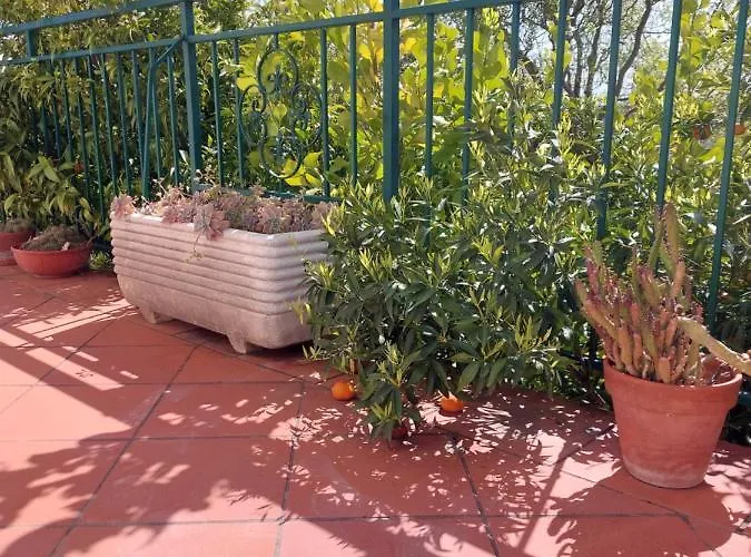 Alojamento de Acomodação e Pequeno-almoço Mia