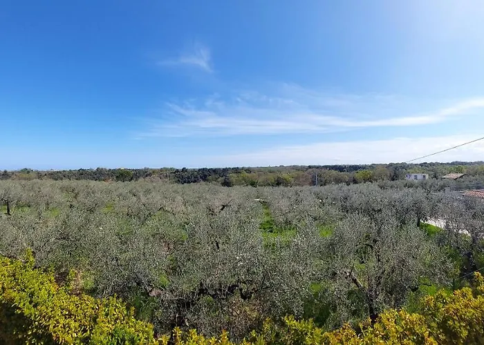 Mia Alojamento de Acomodação e Pequeno-almoço Lanciano