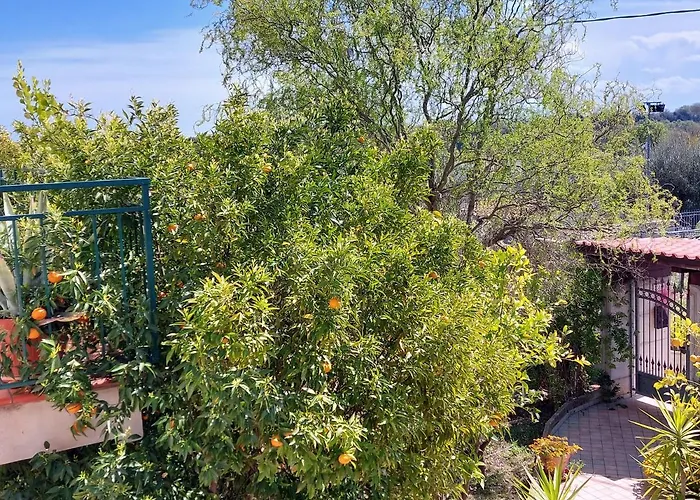 Mia Oda ve Kahvaltı