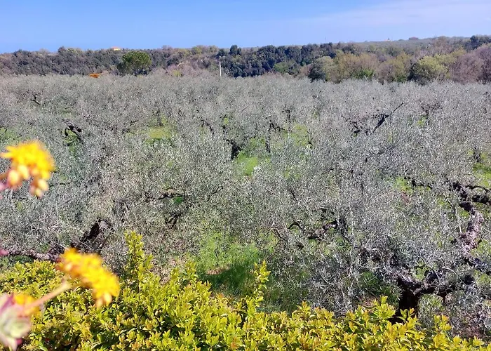 Mia Alojamento de Acomodação e Pequeno-almoço 3*