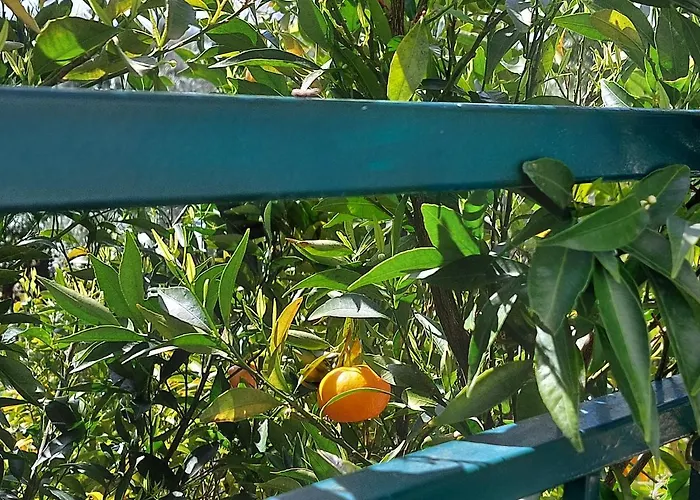 Mia Alojamento de Acomodação e Pequeno-almoço 3*